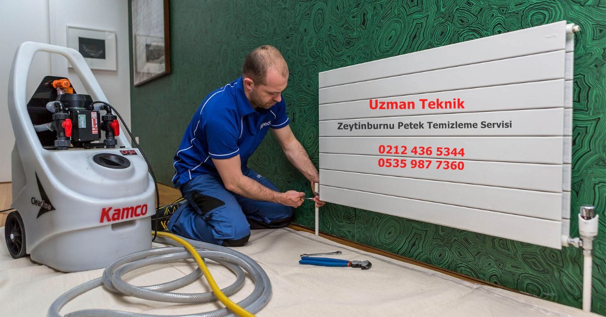 Zeytinburnu Petek Temizleme Servisi